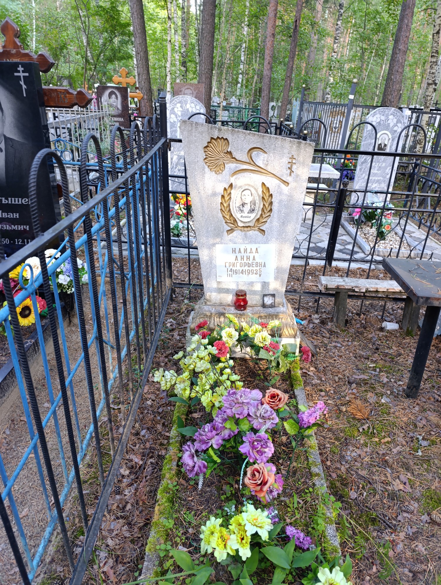 Найда Анна Григорьевна