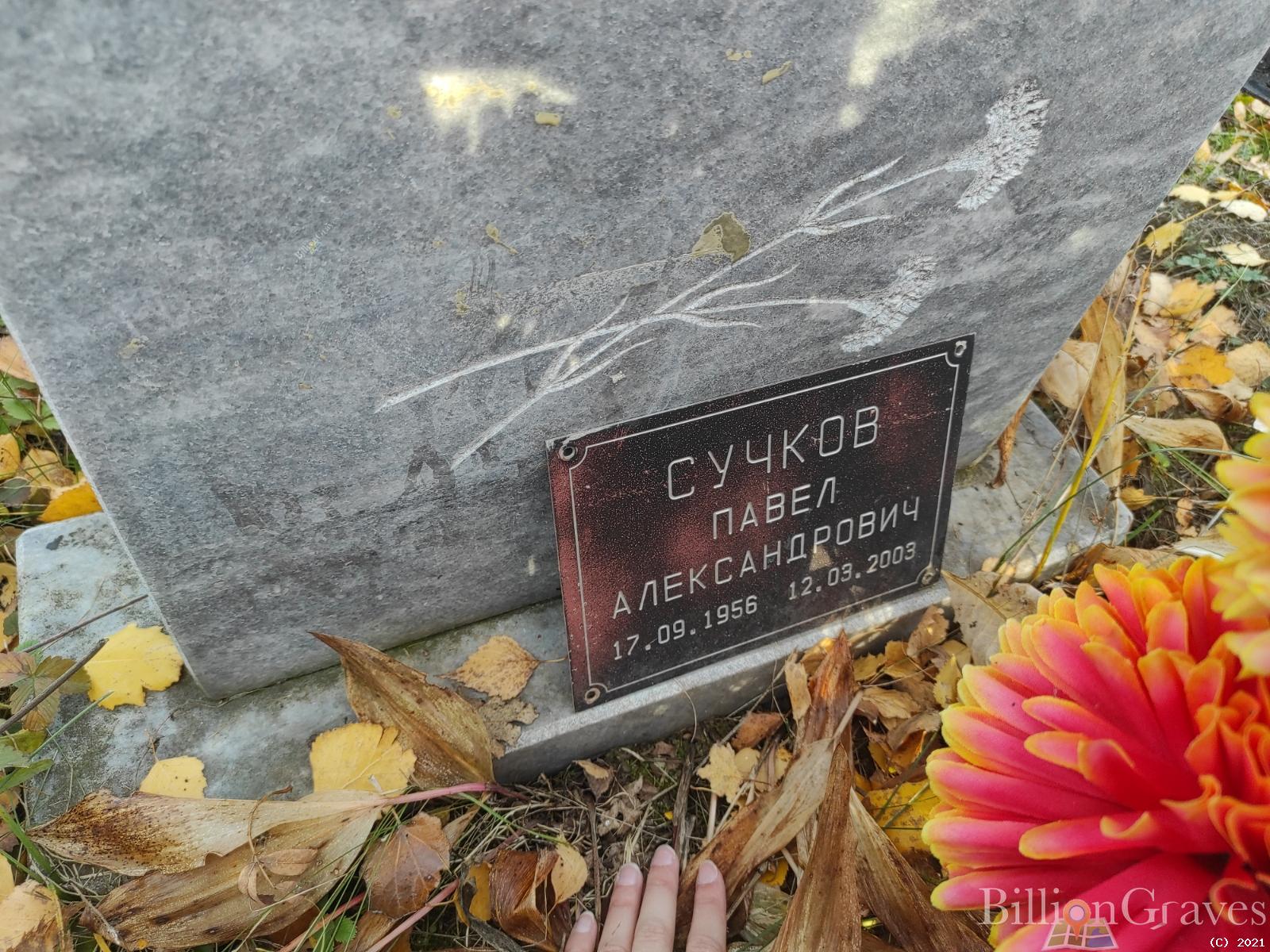 Сучков Павел Александрович