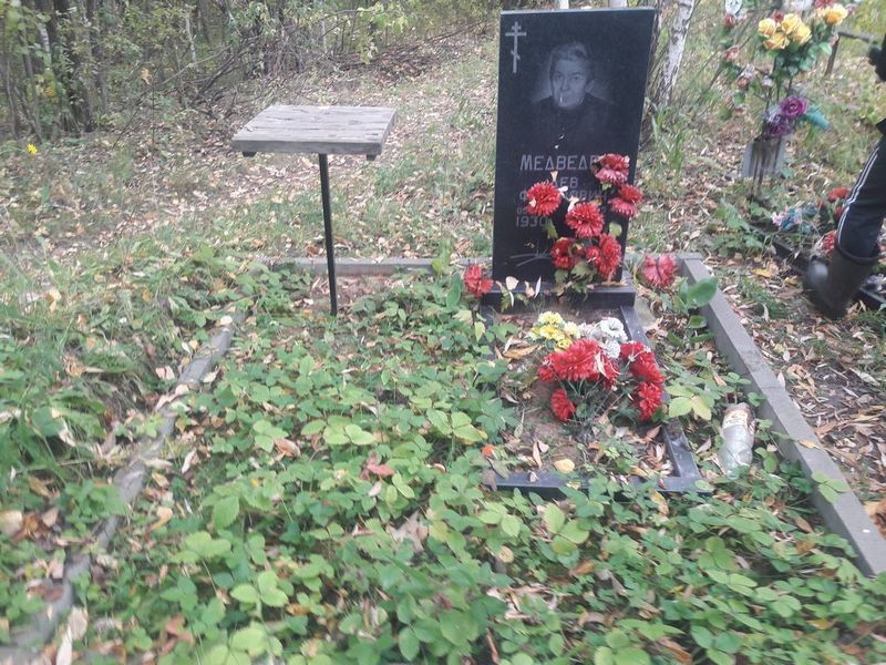 Медведев Лев Федорович