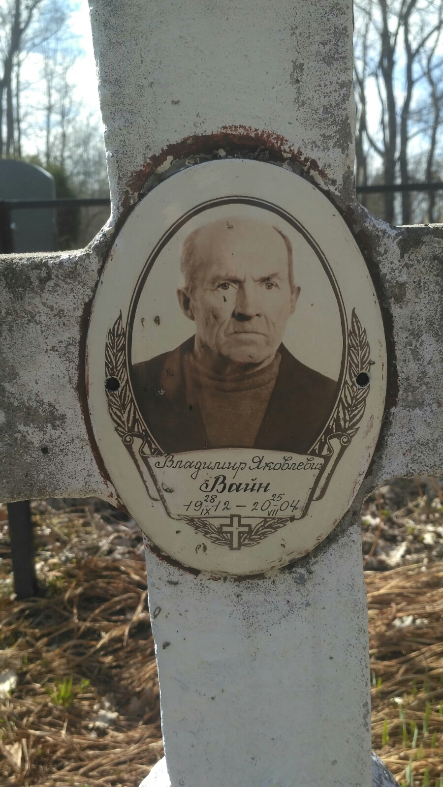 Вайн Владимир Яковлевич