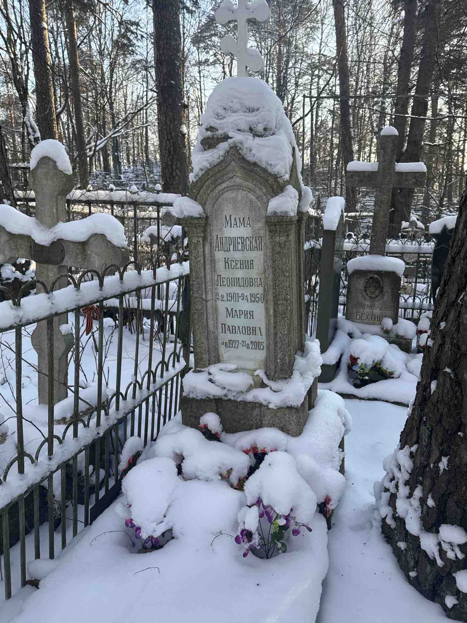 Андриевская Ксения Леонидовна