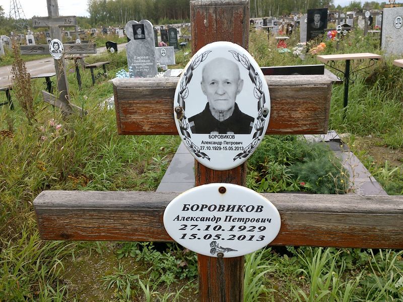 Боровиков