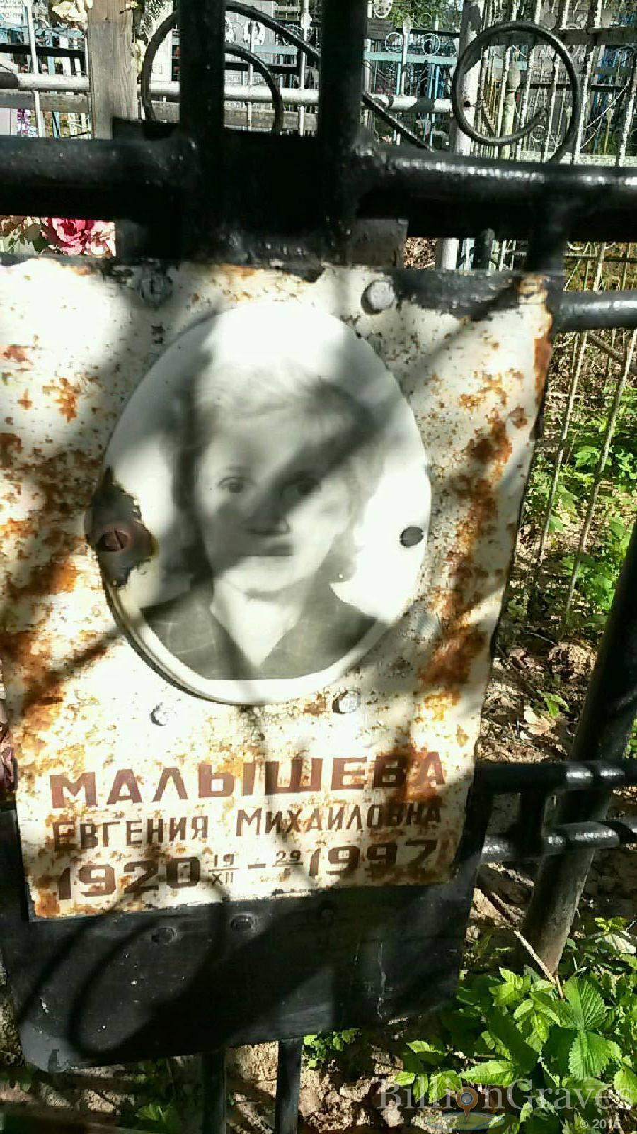 малышева евгения михайловна