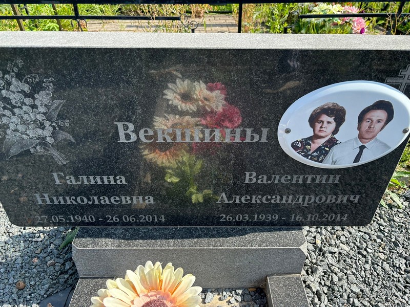 Векшина