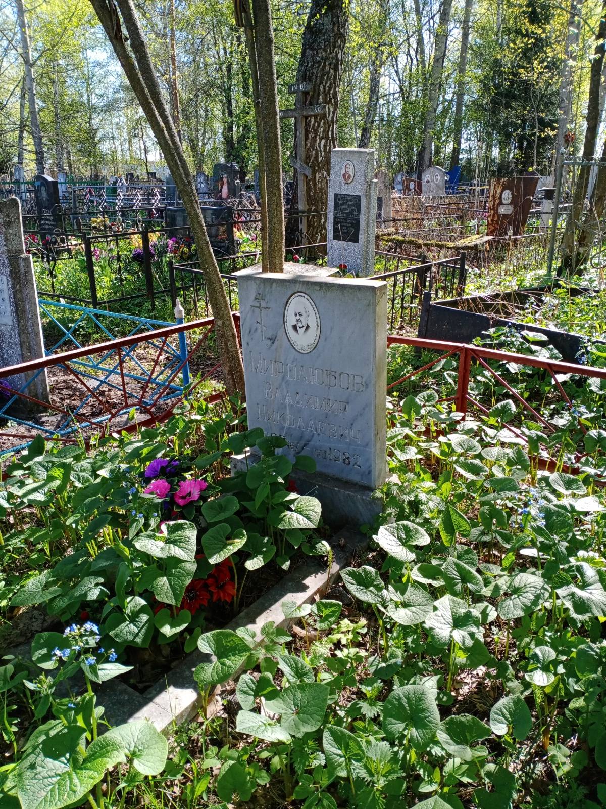 Миролюбов Владимир Николаевич