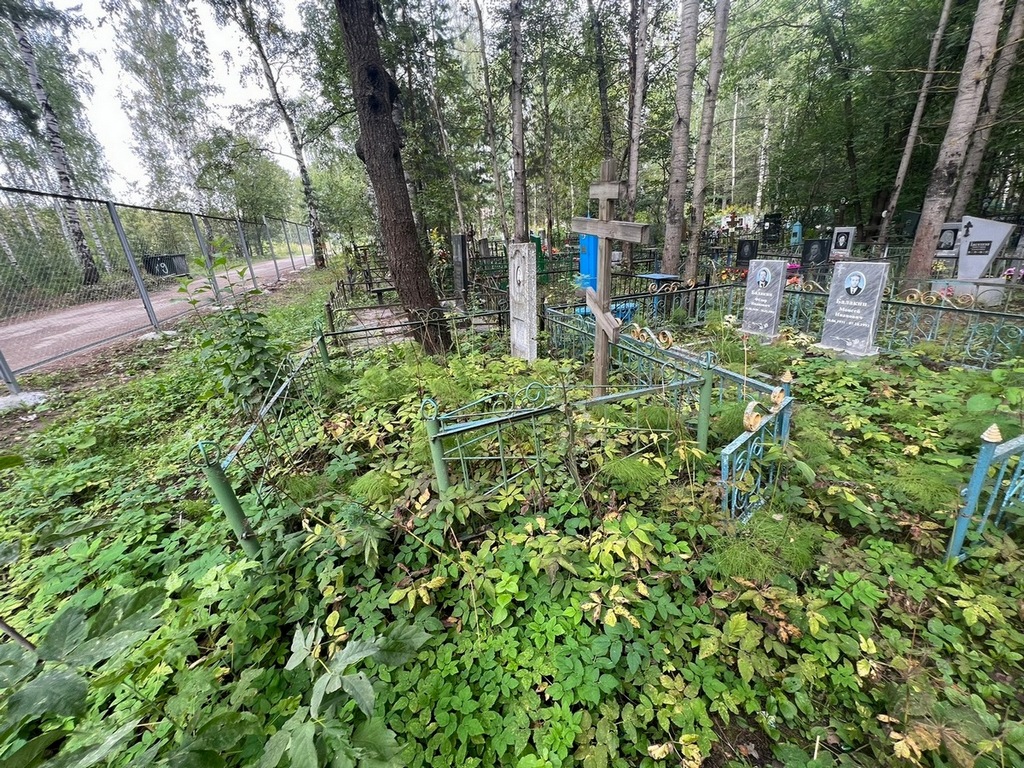 Матвеева Наталья Ивановна