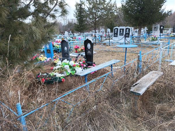 Петрова Эмилия Анатольевна