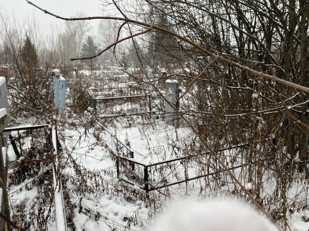 Виткаускас Феликс Казимирович
