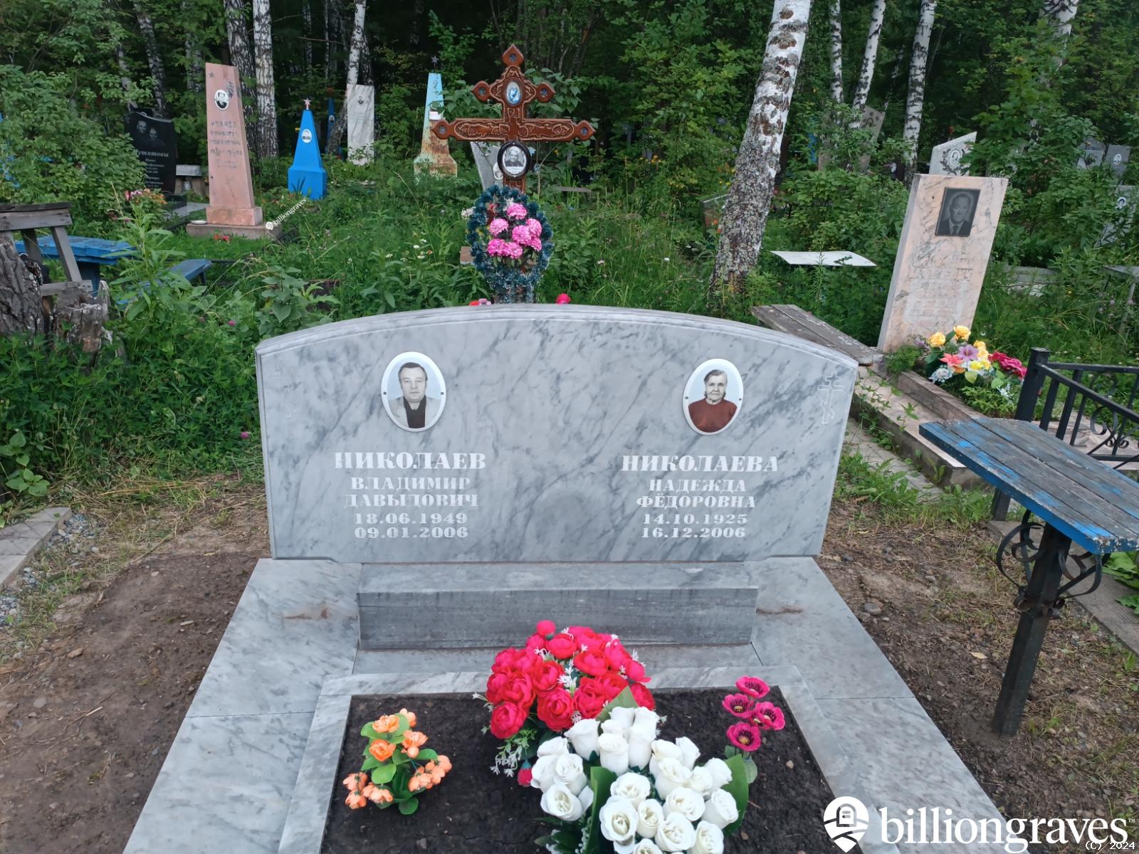 Николаев Владимир Давыдович