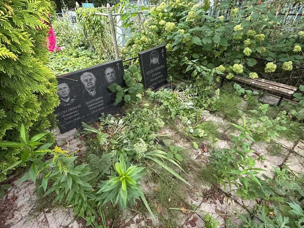 Колесникова Галина Андреевна