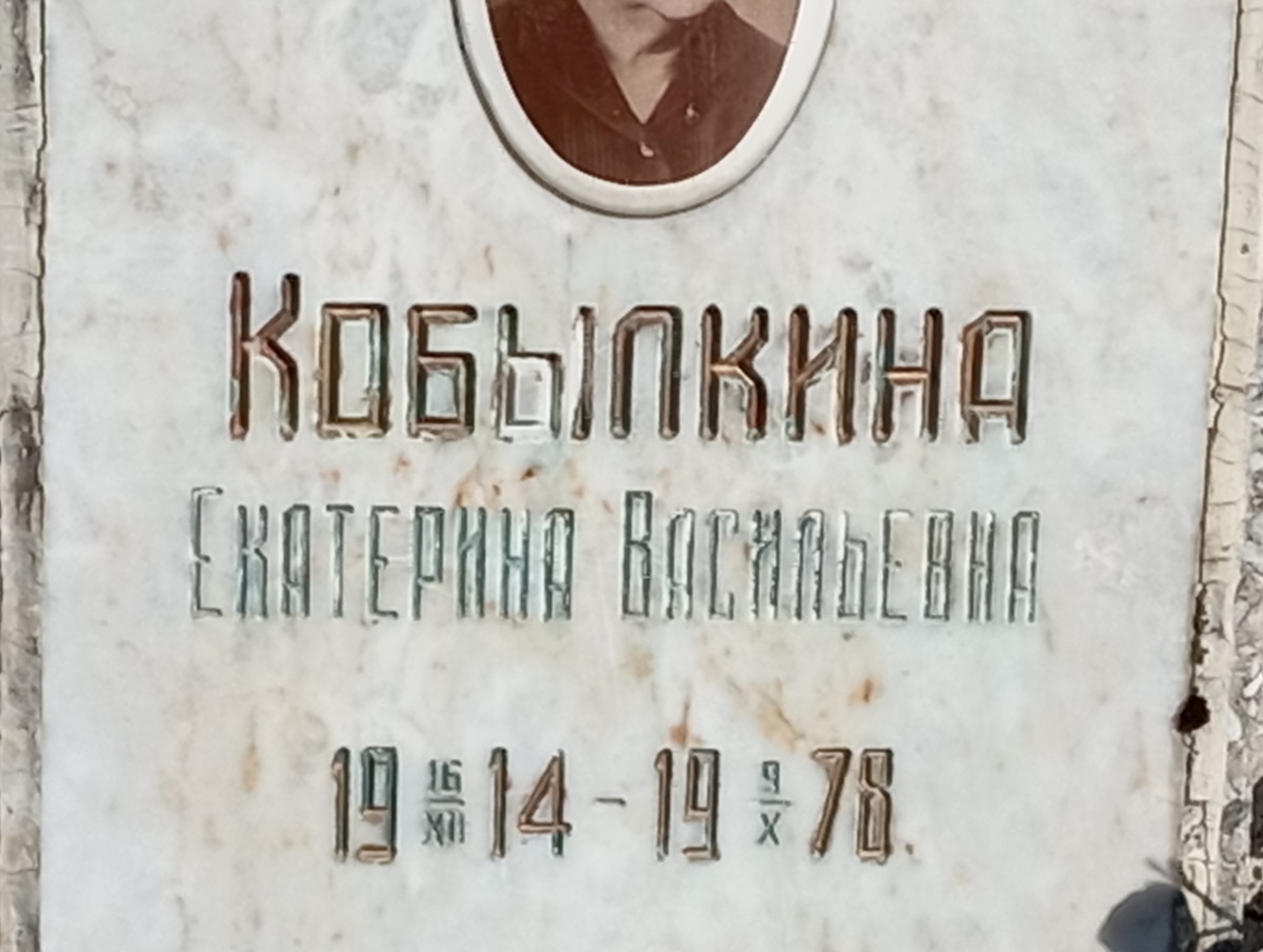 Кобылкина Екатерина Васильевна
