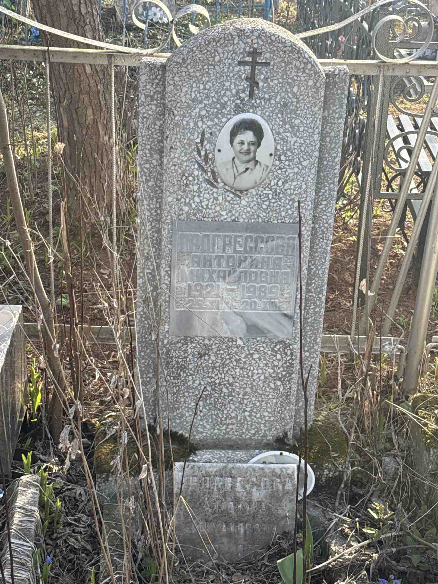 Прогрессова Антонина Михайловна