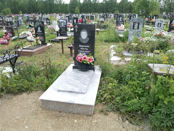 Воронин Виктор Гаврилович