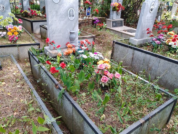 Ширяева Елизавета Андреевна
