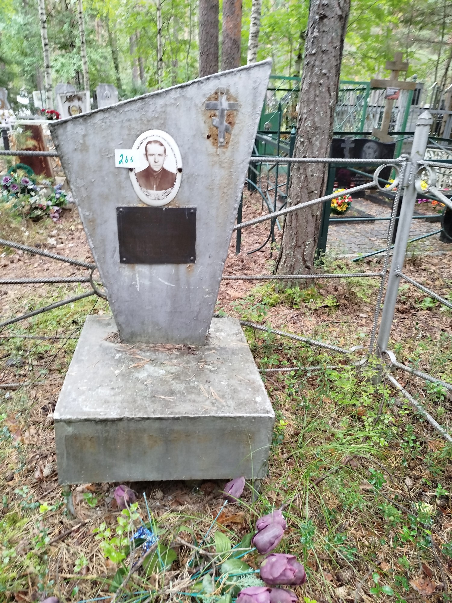 Золотов Николай Дмитриевич