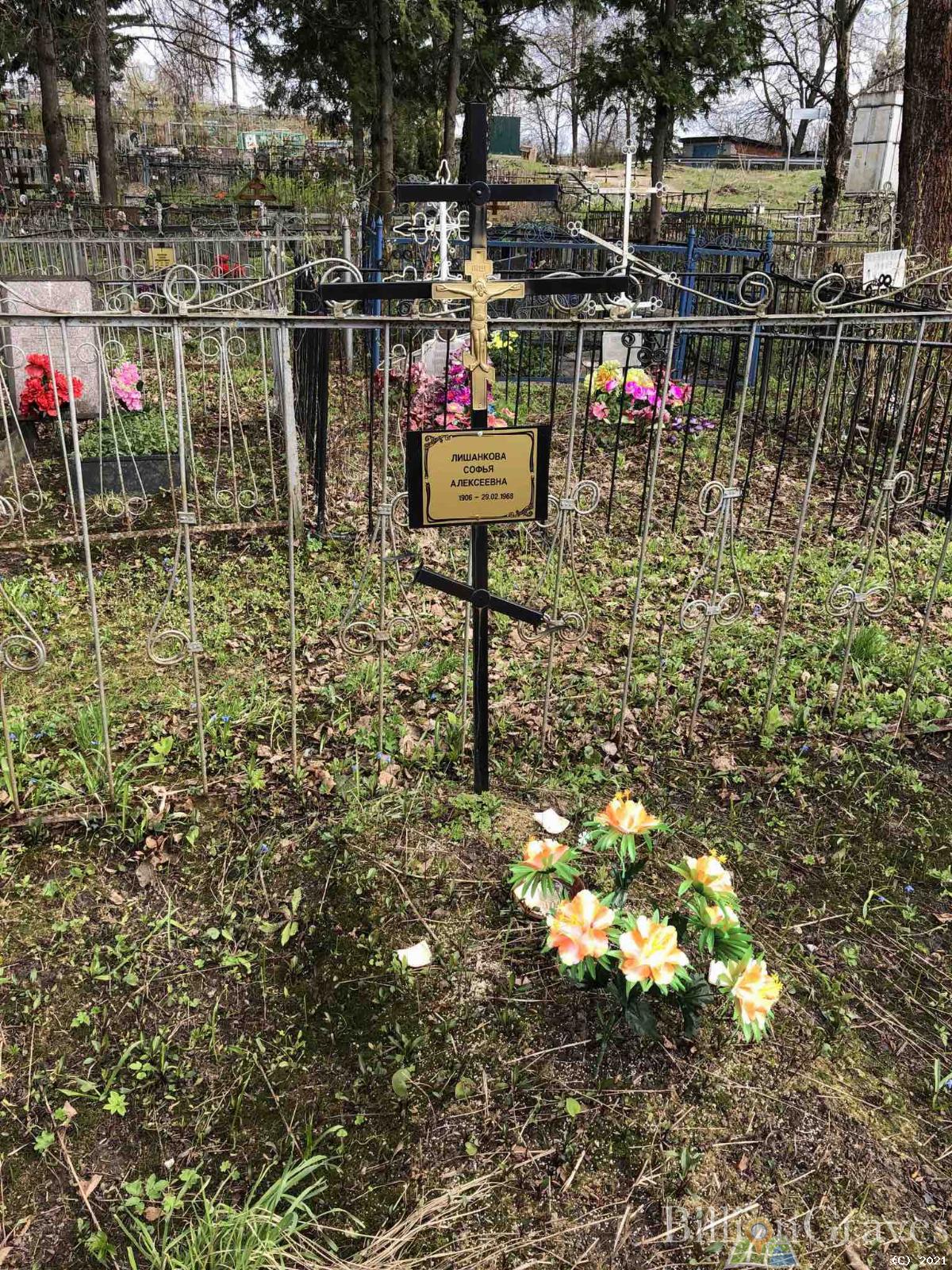 Лишанкова Софья Алексеевна