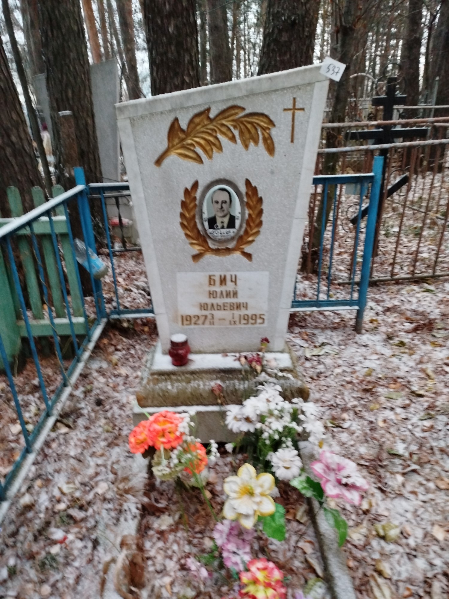 Бич Юлий Юльевич