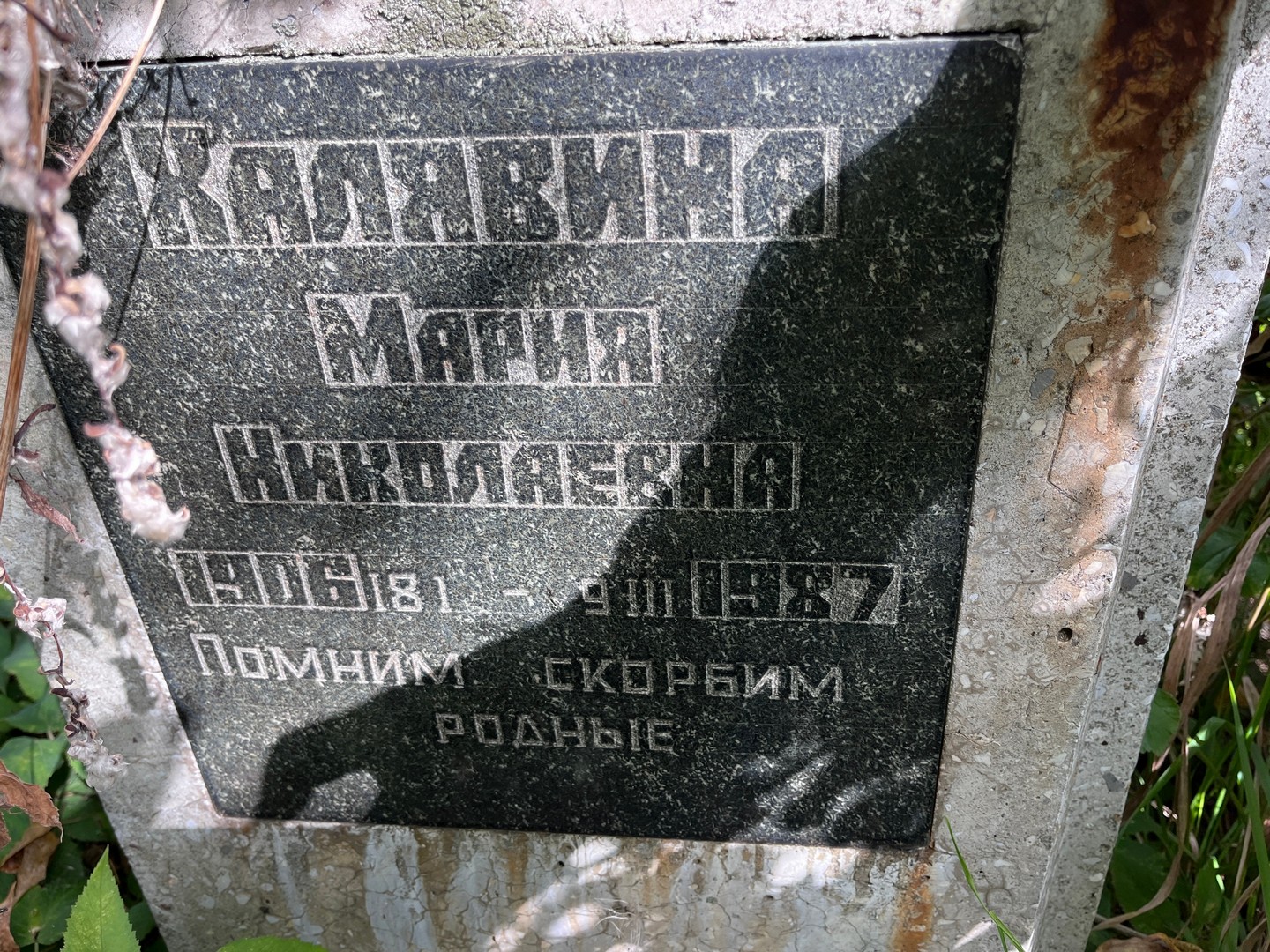 Халявина