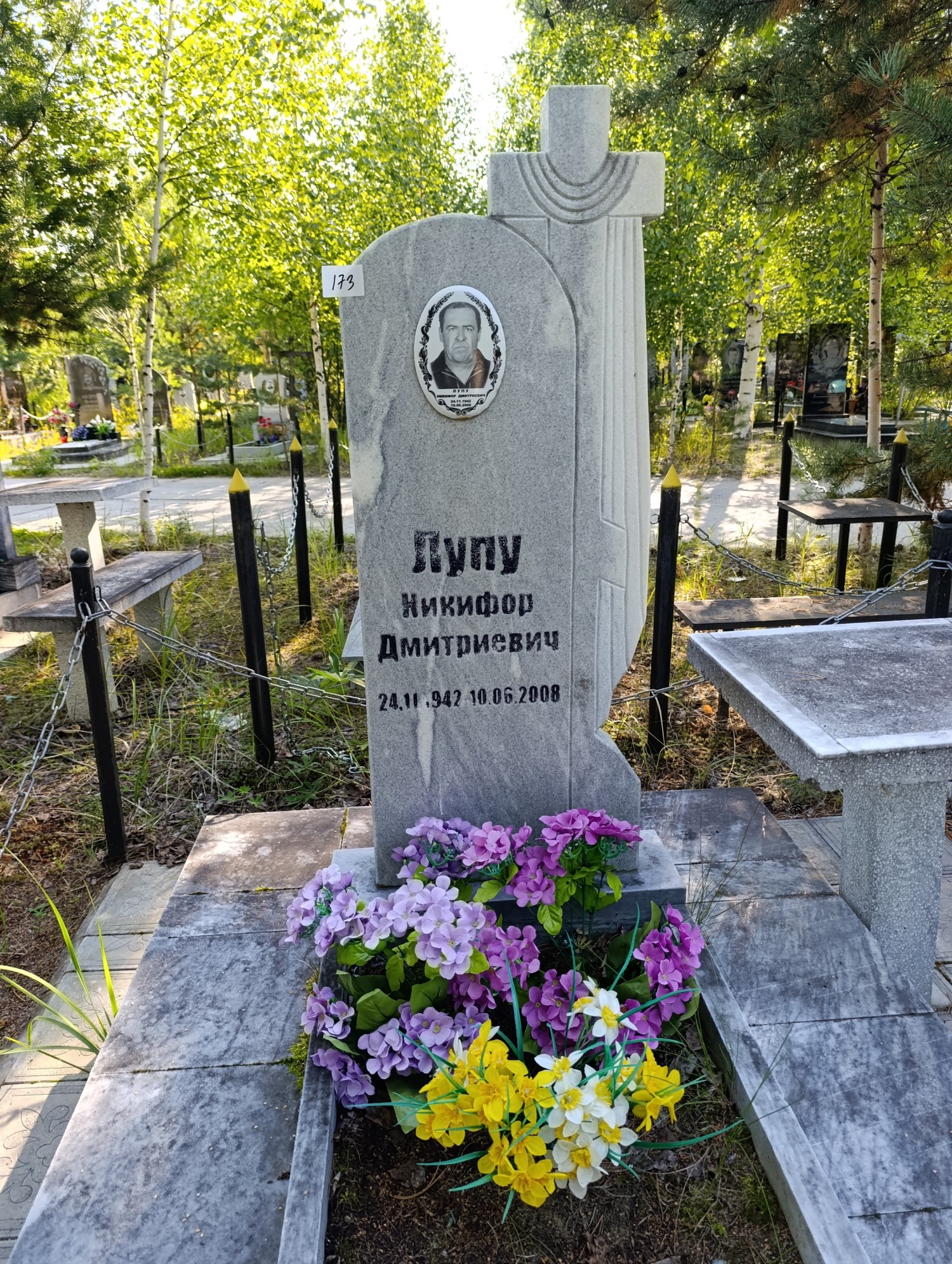 Лупу Никифор Дмитриевич