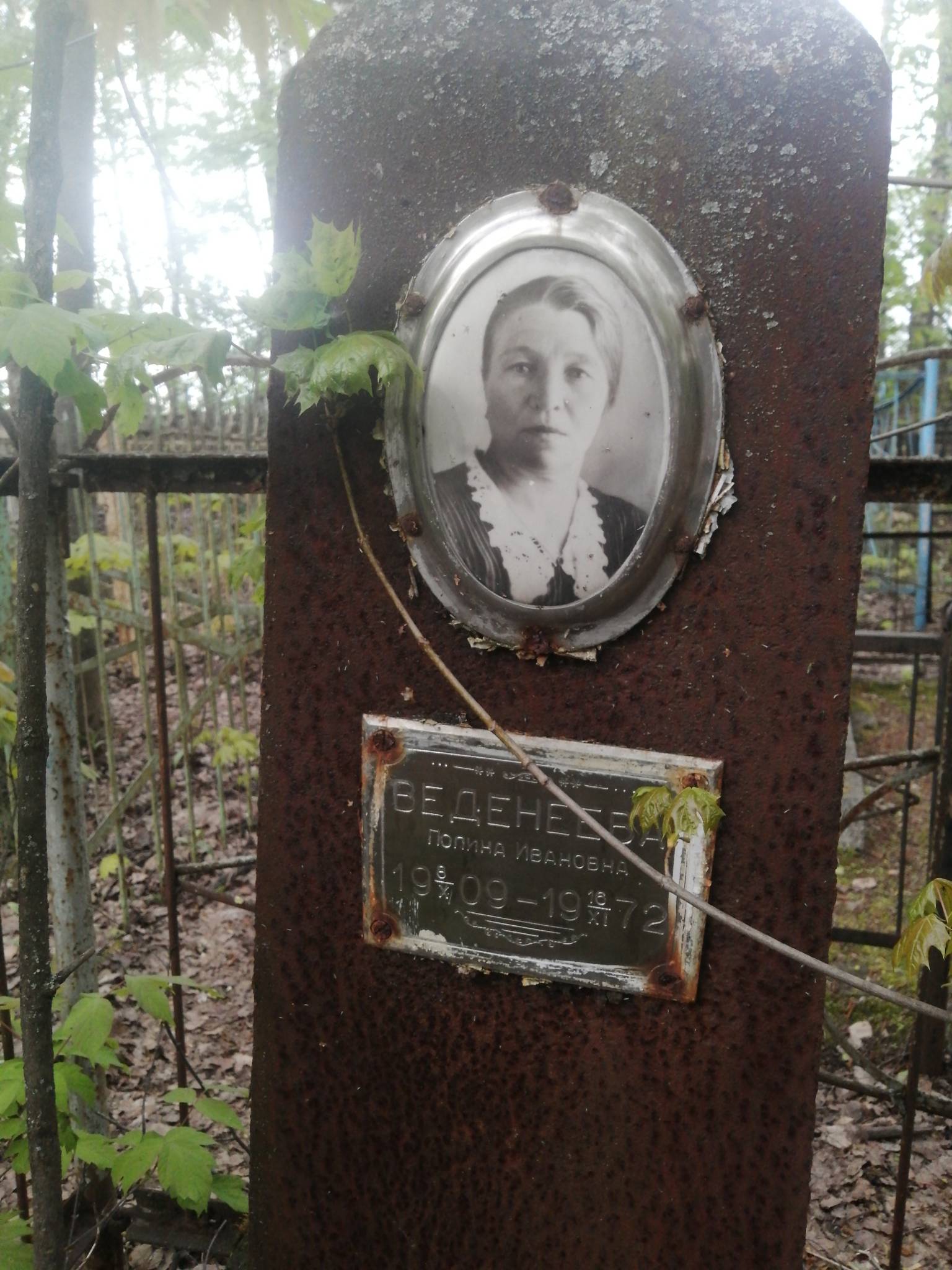 Веденеева Полина Ивановна