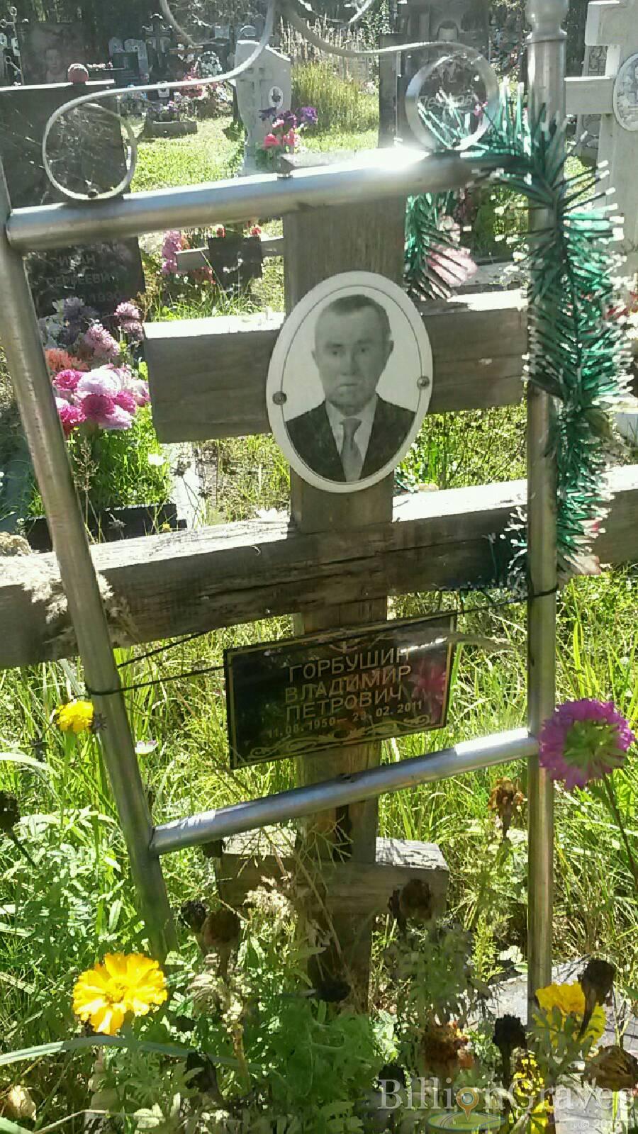 Горбушин Вадим Петрович