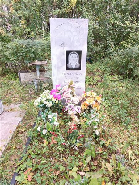 Николаев Николай Иванович