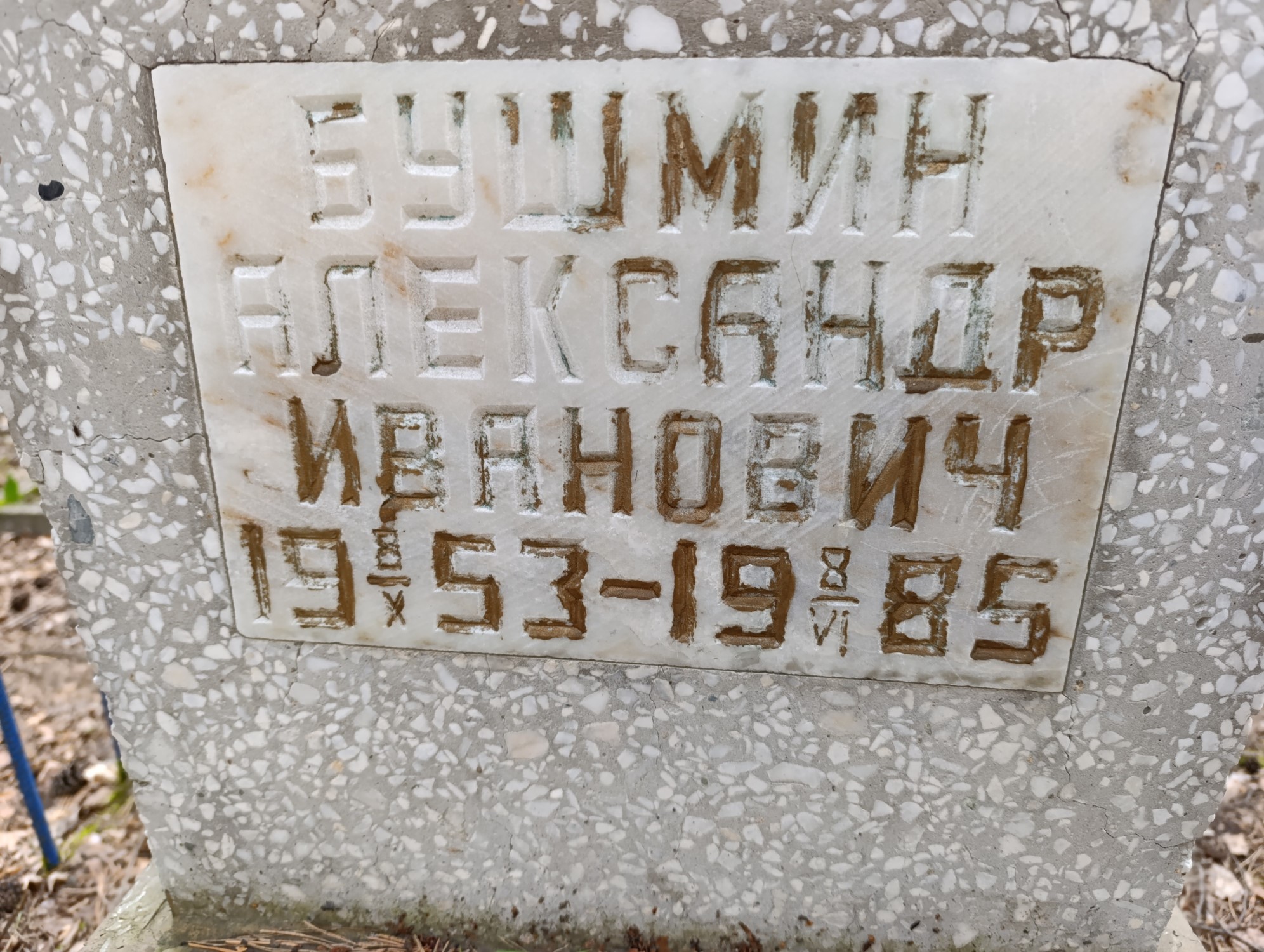 Бушмин Александр Иванович