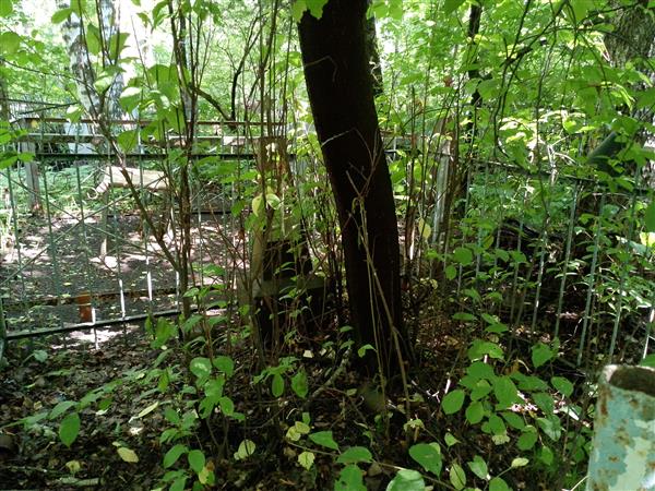 Качаева Федосья Степановна