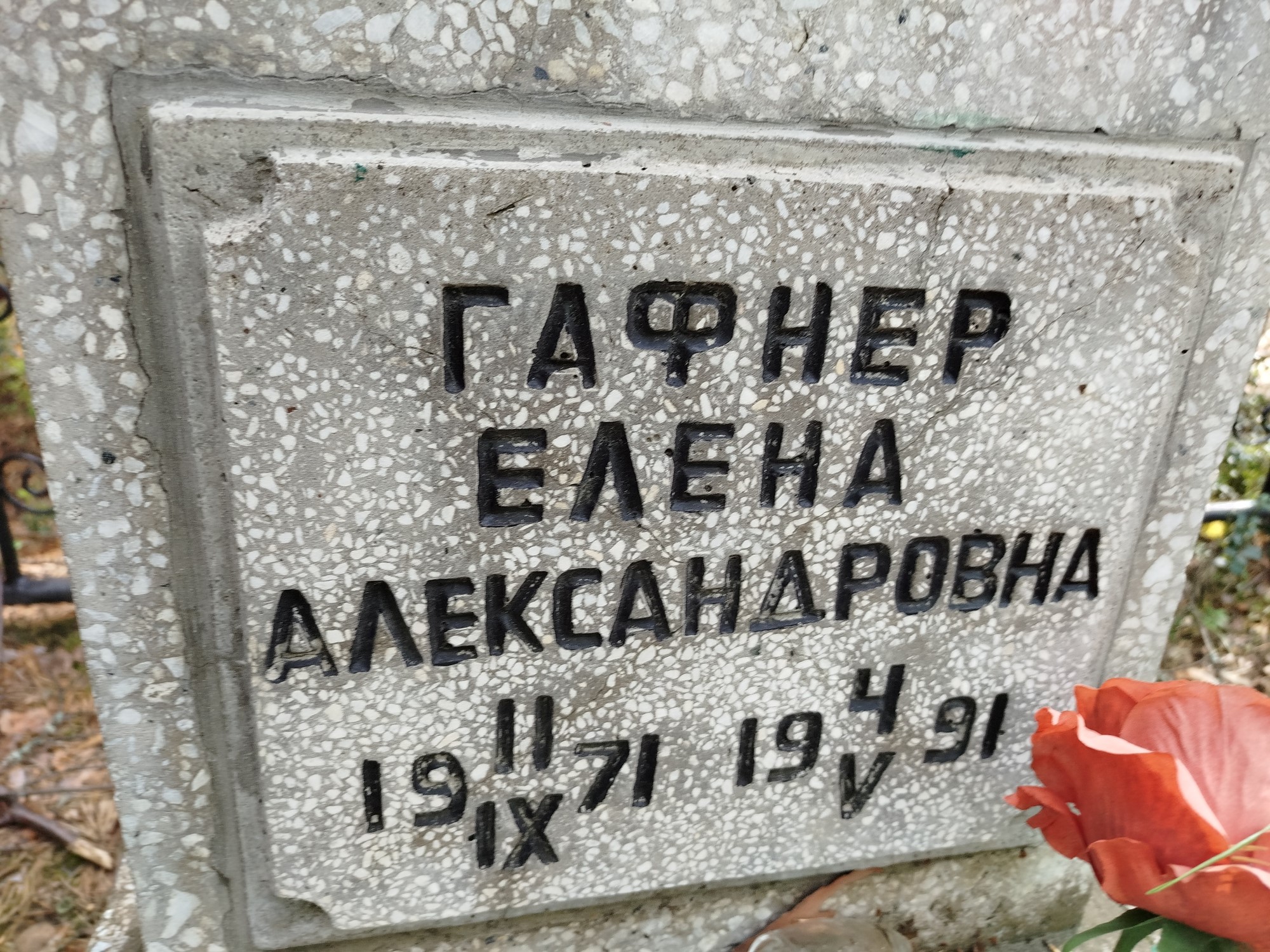 Гафнер Елена Александровна