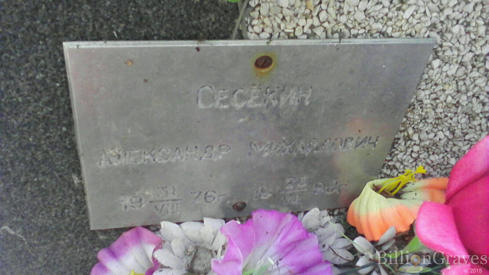 Сесёкин Александр Михайлович