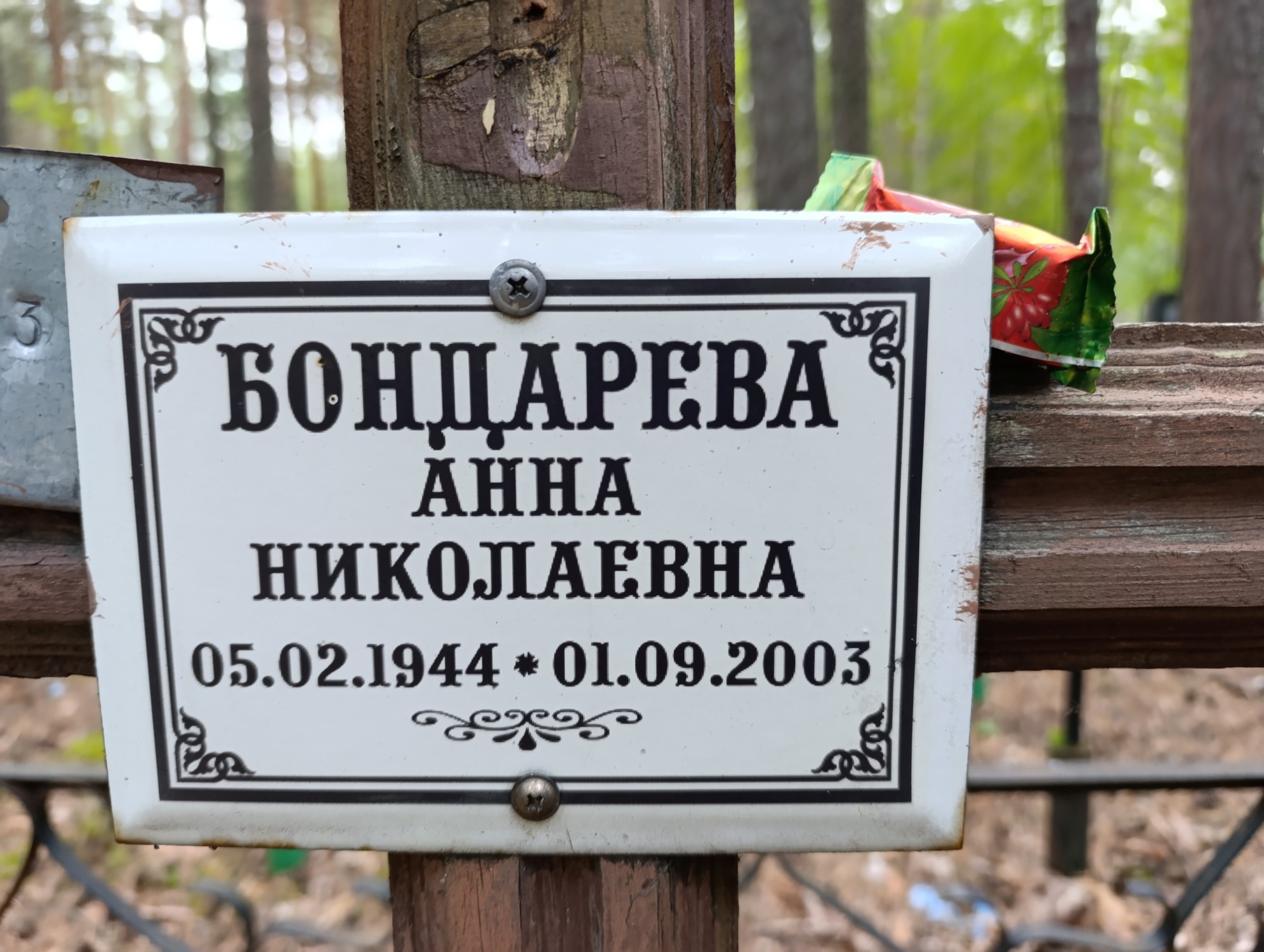 Бондарева Анна Николаевна