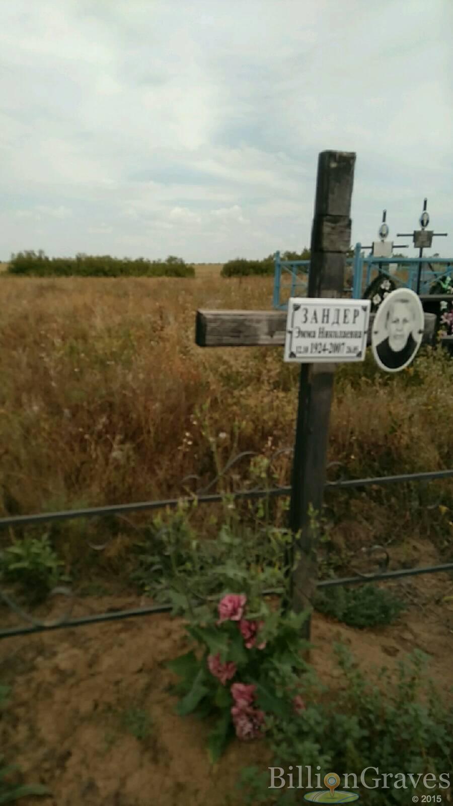 Зандер ---