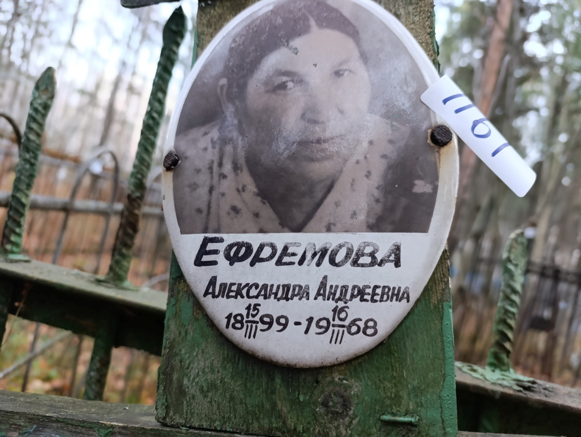 Ефремова Александра Андреевна