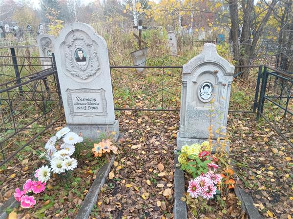 Челнокова Анастасия Николаевна