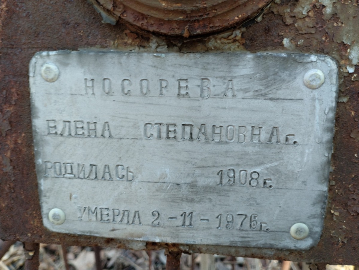 Носорева Елена Степановна
