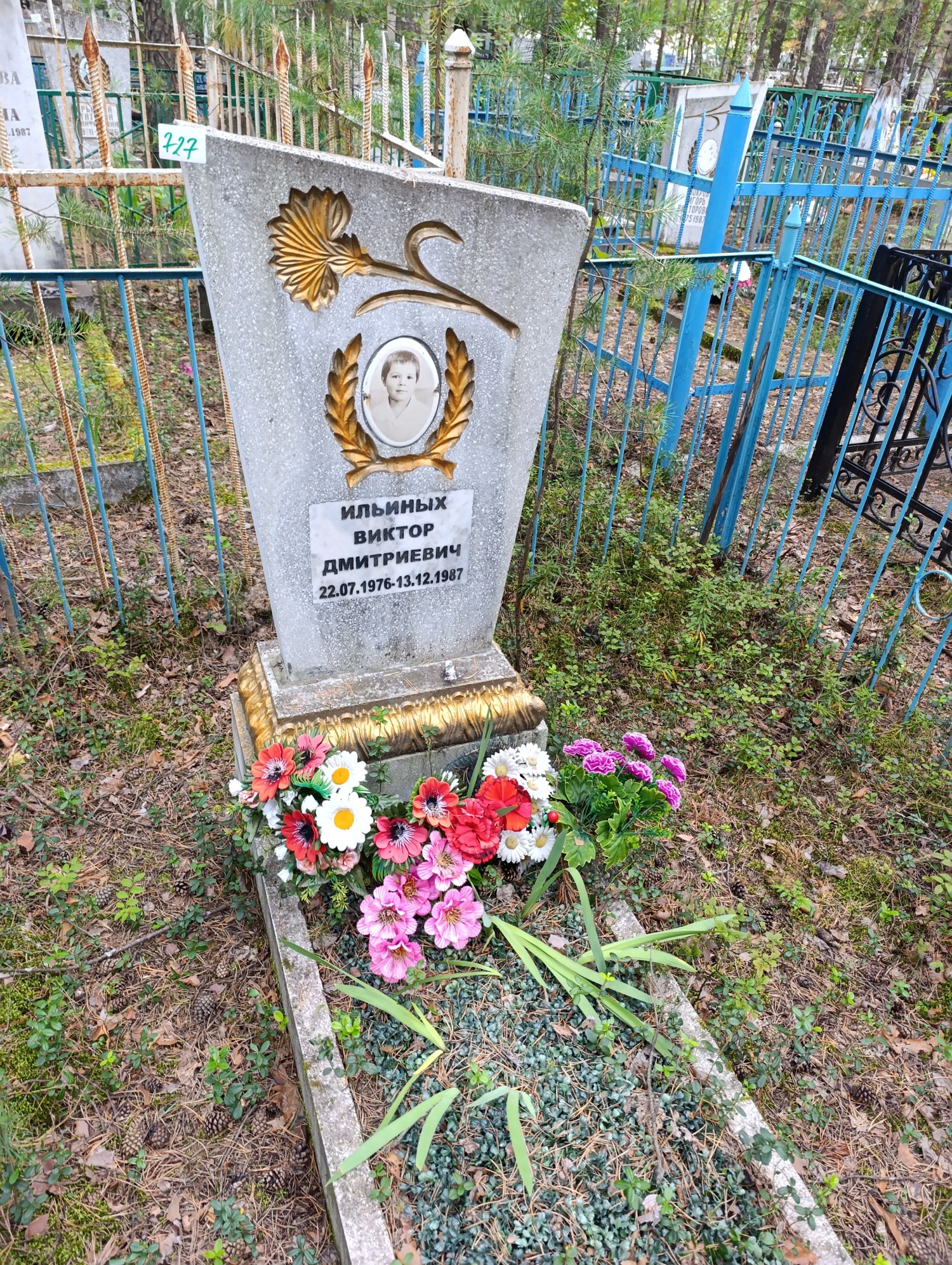 Ильиных Виктор Дмитриевич