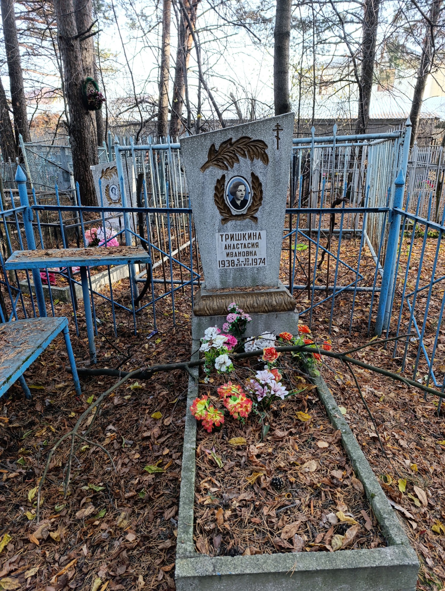 Тришкина Анастасия Ивановна