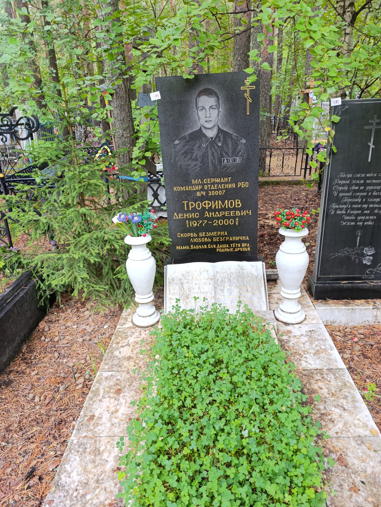 Трофимов Денис Андреевич