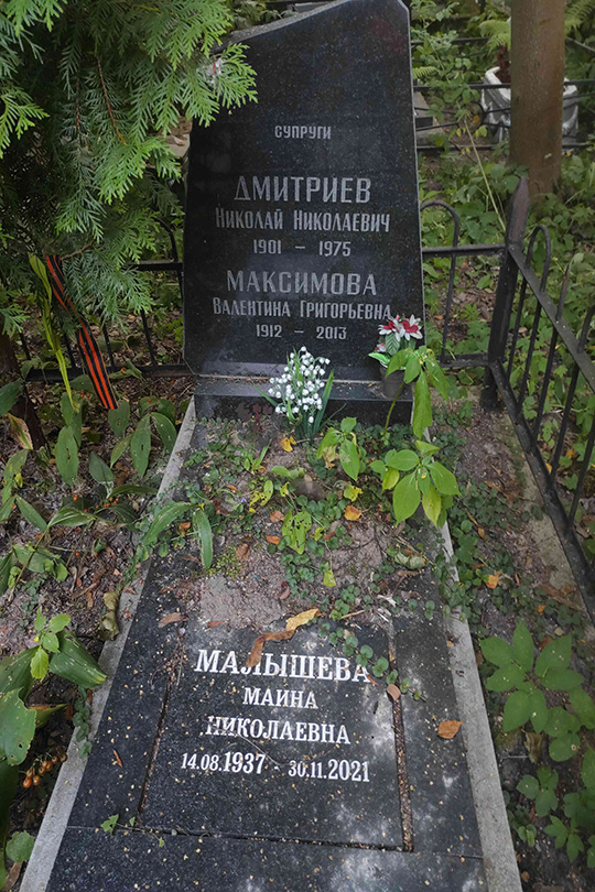 Дмитриев Николай Николаевич
