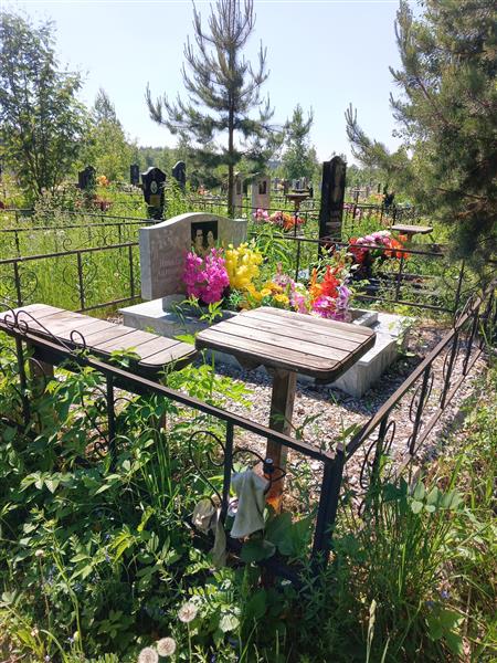 Пластун Николай Антонович