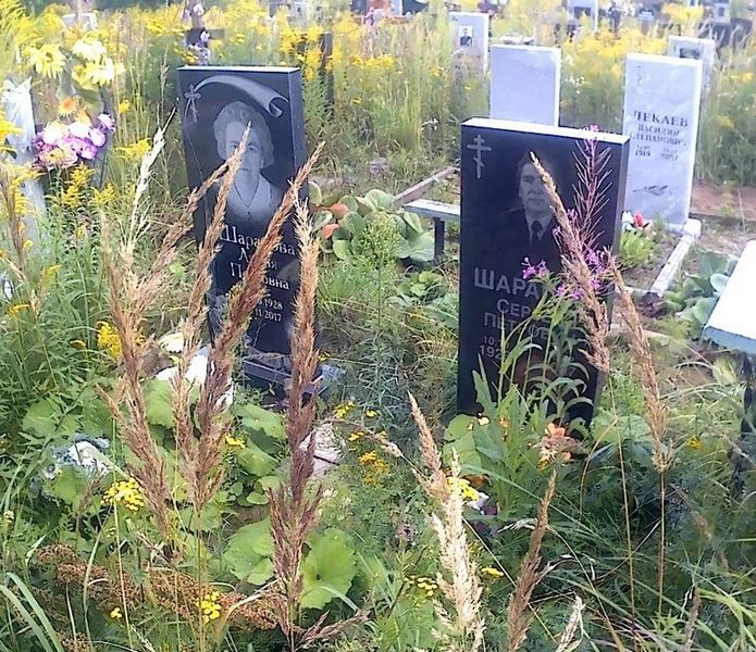 Шарапов Сергей Петрович
