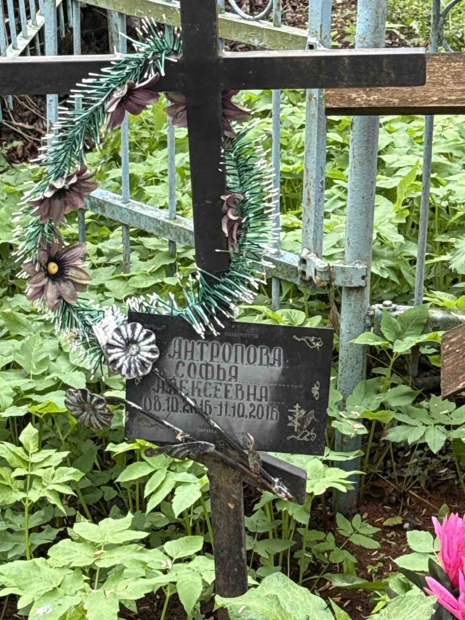 Антропова Софья Алексеевна