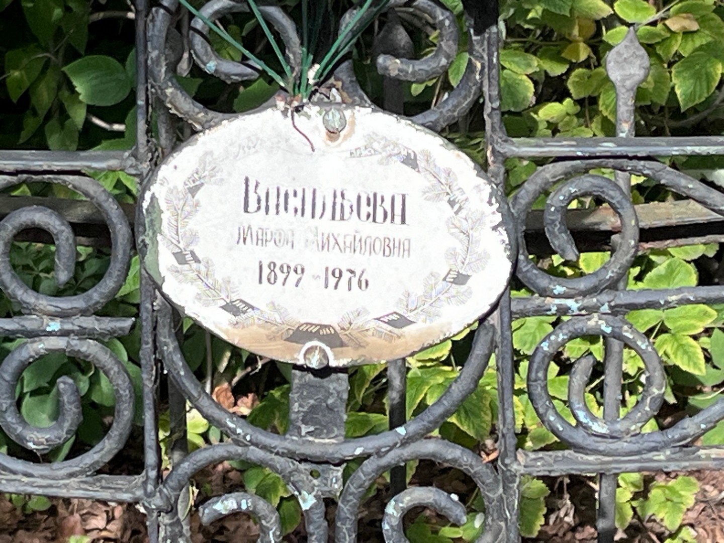 Васильева