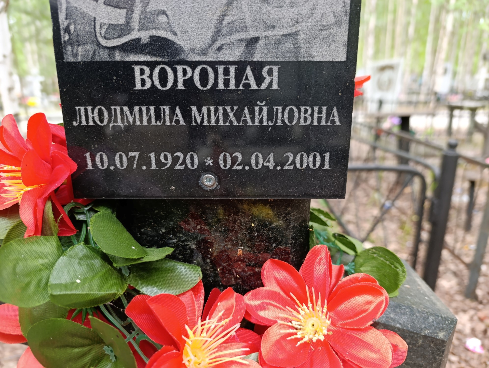 Вороная Людмила Михайловна