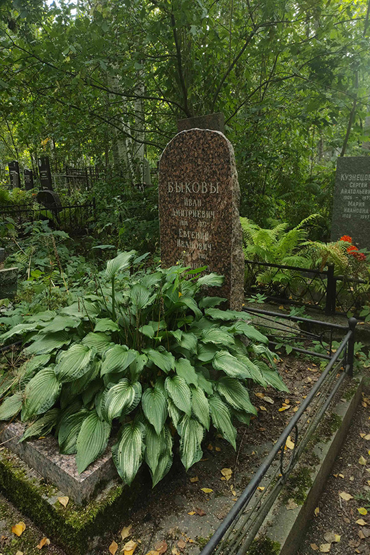 Быков Евгений Иванович