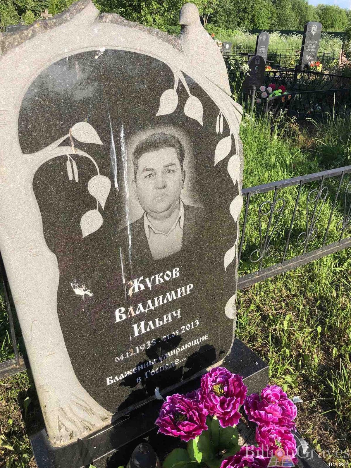 Жуков Владимир Ильич