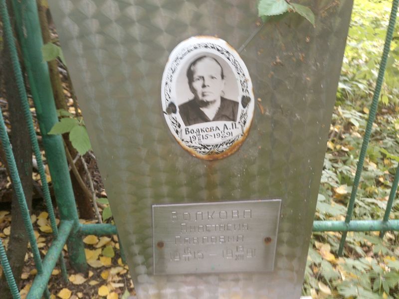 Волкова Анастасия Павловна