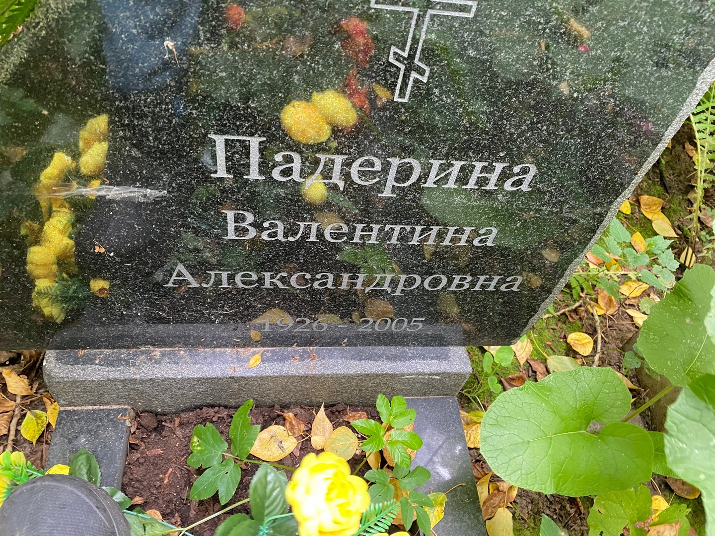 Падерина
