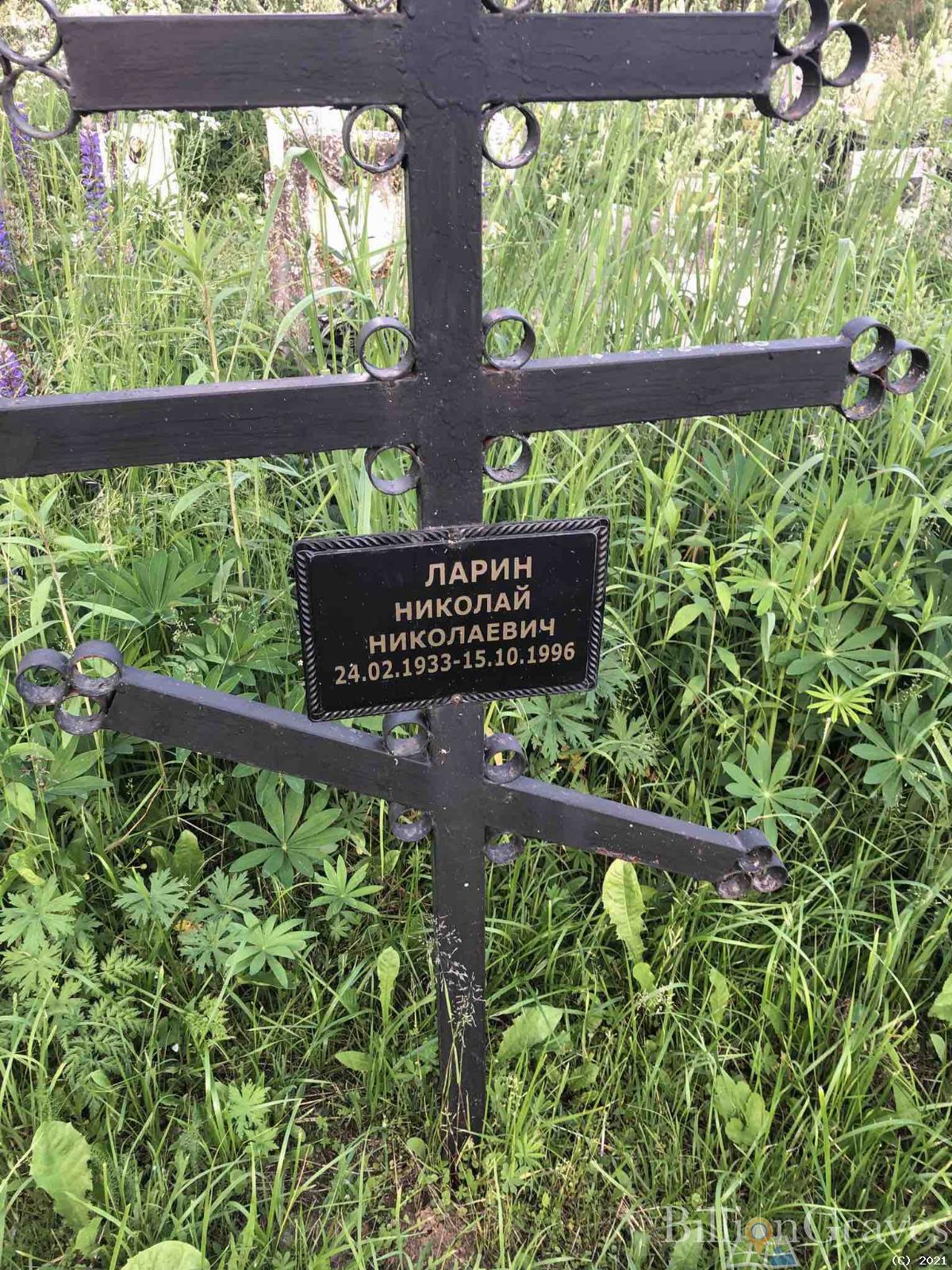 Ларин Николай Николаевич