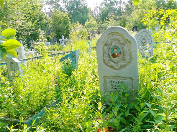 Еленев Михаил Арнольдович